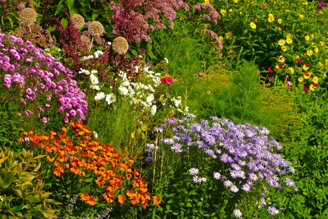 Best Blue Flowers for a Garden: Varieties, Tips, and Seasonal Planting Guide